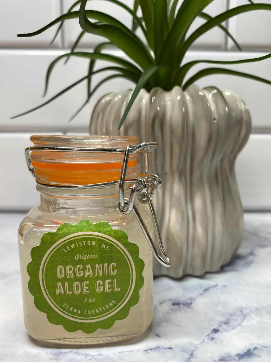 aloe vera plant in mason jar Organic Aloe Gel 2oz – Zebra Creations, LLC