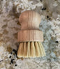 Natural Scrub Brush for Simply A Dish Soap