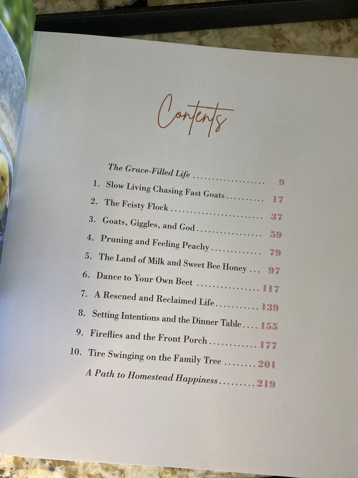 The Grace-Filled Homestead: Lessons I’ve Learned about Faith, Family, and the Farm
