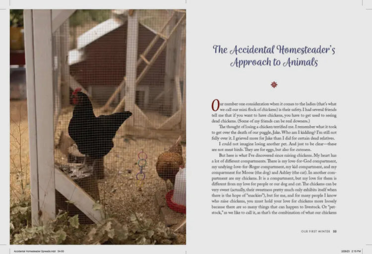 The Accidental Homesteader: What I’ve Learned About Chickens, Compost, and Creating Home