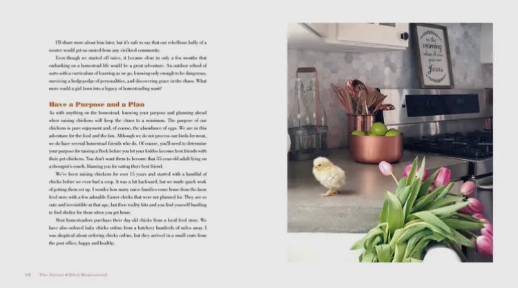The Grace-Filled Homestead: Lessons I’ve Learned about Faith, Family, and the Farm